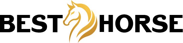 BEST HORSE